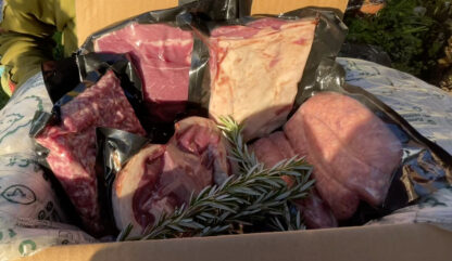 Winter meat box in late afternoon sunshine