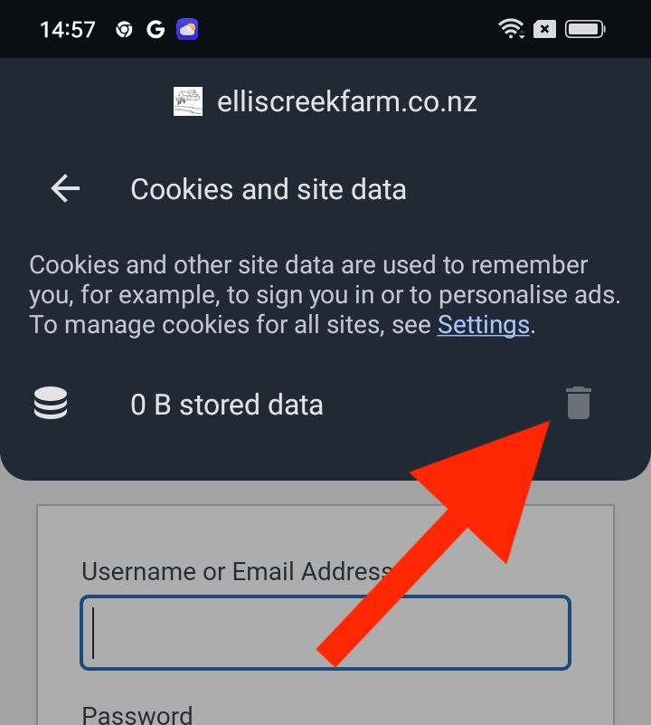 Chrome delete site data and cookies